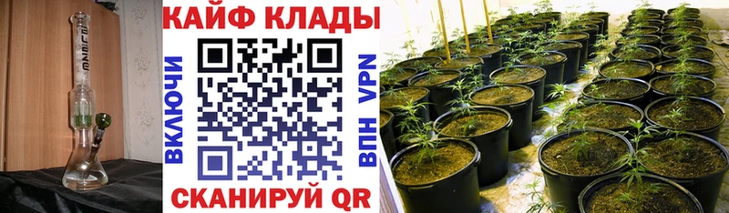 Магазины продажи наркотиков Кохма ГАШ mega вход АМФЕТАМИН Мефедрон APVP Бошки Шишки