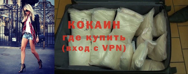 МДПВ Пересвет