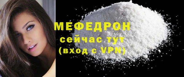 МДПВ Пересвет