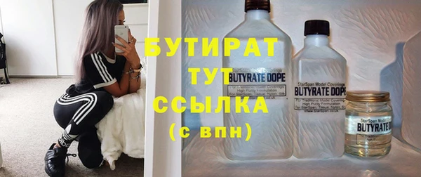 МДПВ Пересвет
