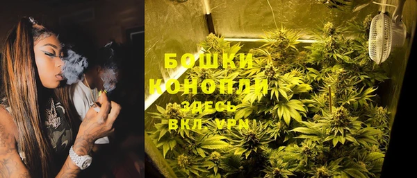 МДПВ Пересвет