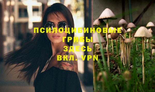 спиды Абинск